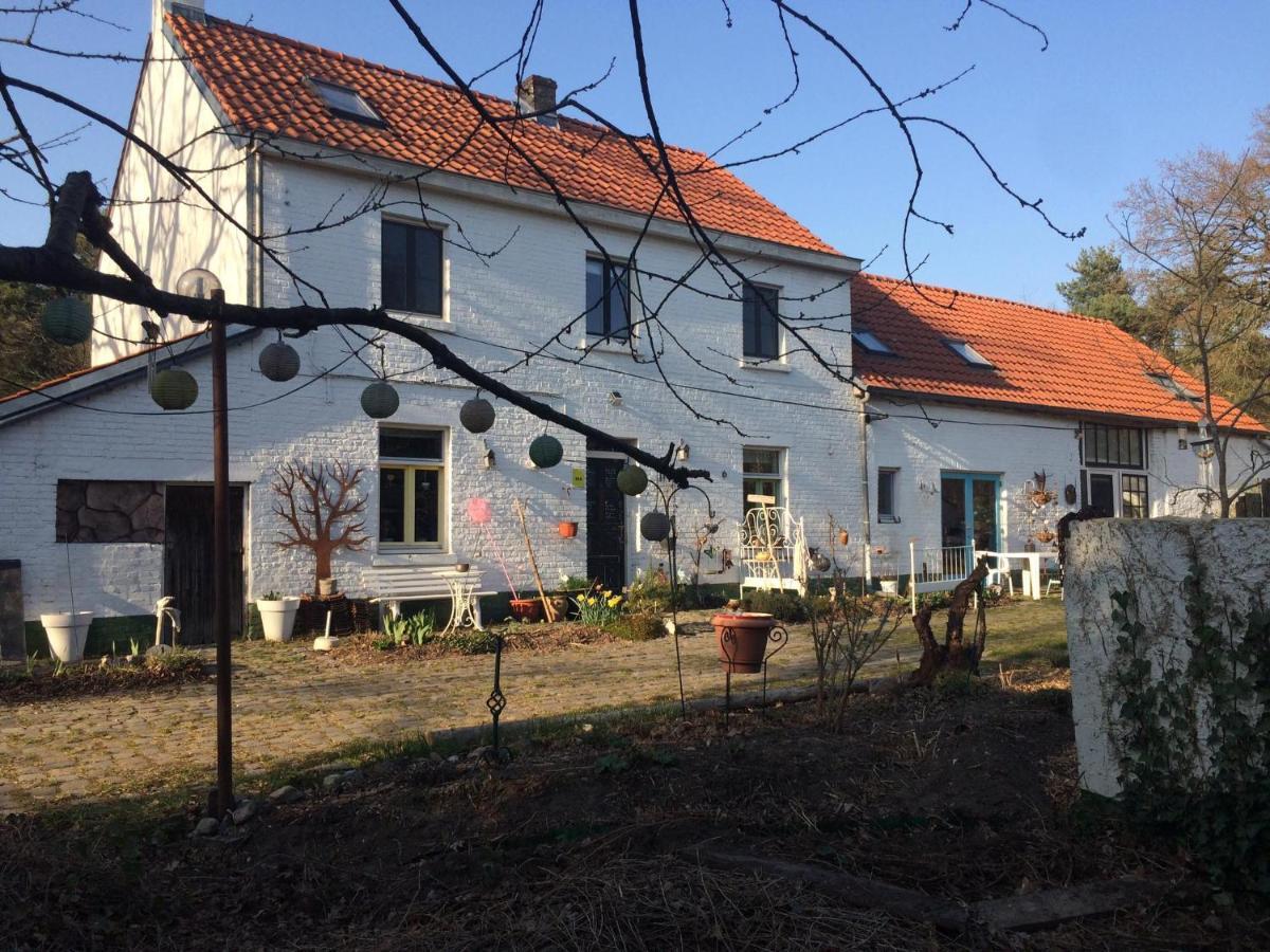 Slaaphuisje Het Vliegend Varken 亨克 外观 照片